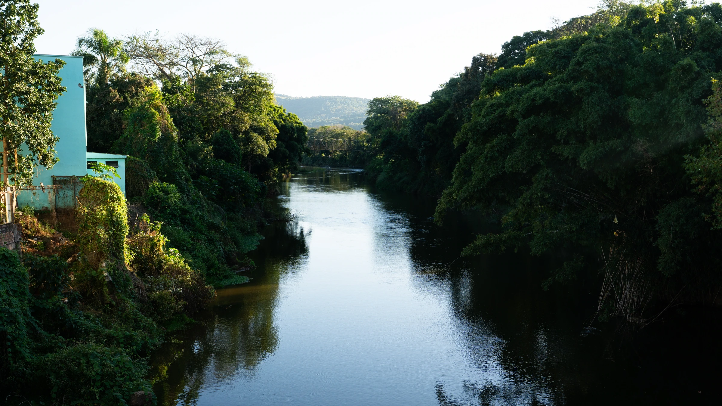 Rio entre margens cobertas de árvores